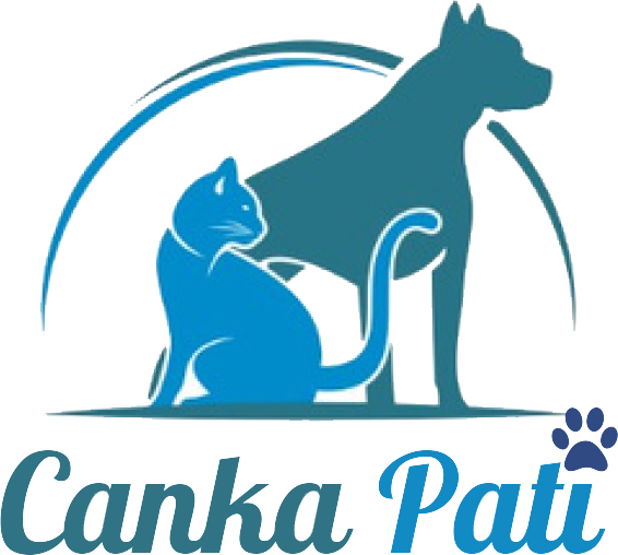 Canka Pati